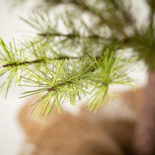 Artificial Stem - Northern Soft Pine with Cones- 24 inch