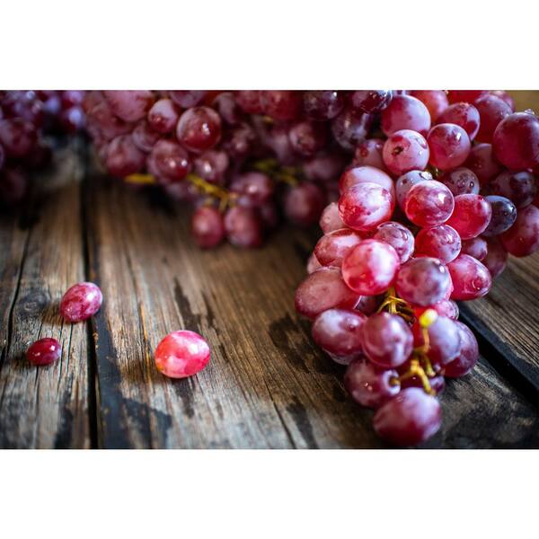 Princess Seedless Grape  Grape Vines From Paradise Nursery