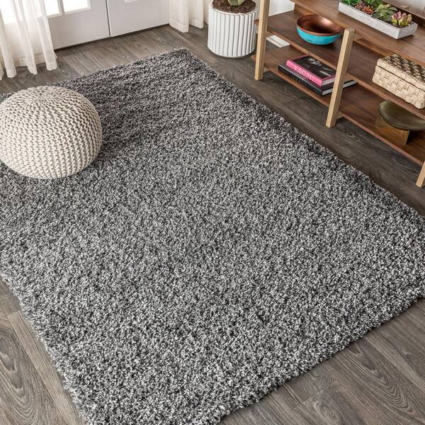  NJSBYL Dog Area Rug 3x5 Mat Bathrug Shaggy Gray 30 x