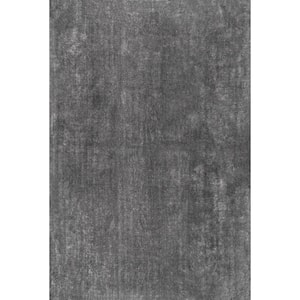 Loni Machine Washable Dark Grey Doormat 2 ft. x 3 ft.  Solid Shag Area Rug