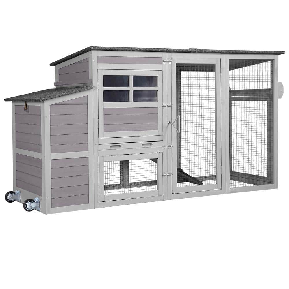 Large Chicken House : Outdoor Chicken Coop with Wheels for 2-3 Hens
