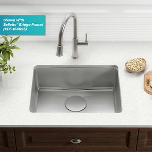 Dex 25 in. Undermount Single Bowl 16 Gauge Stainless Steel Kitchen Sink with Accessories