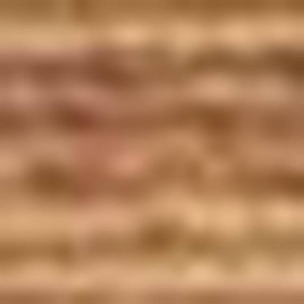 2 ft. x 10 ft. Copper Abstract Washable Area Rug