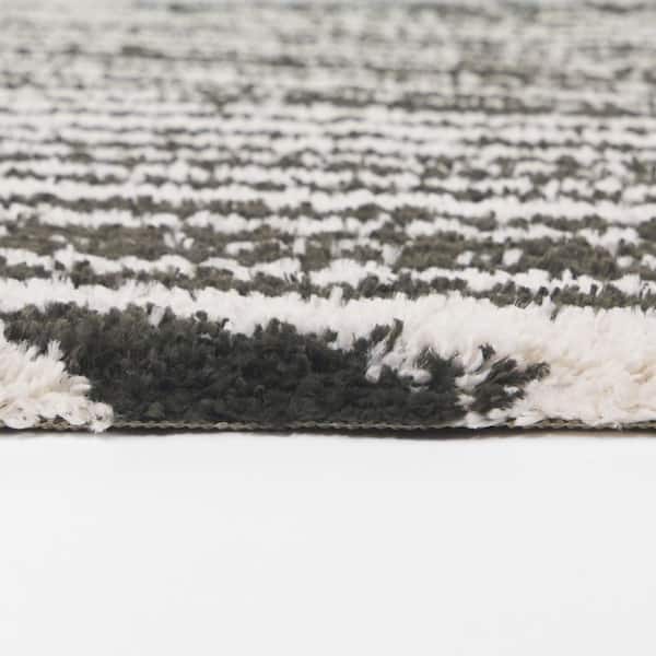 Avraham 5 ft. x 7 ft. Black Area Rug