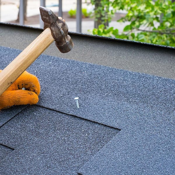 Everbilt 2-1/2 in. x 8D Electro-Galvanized Non-Collated Roofing