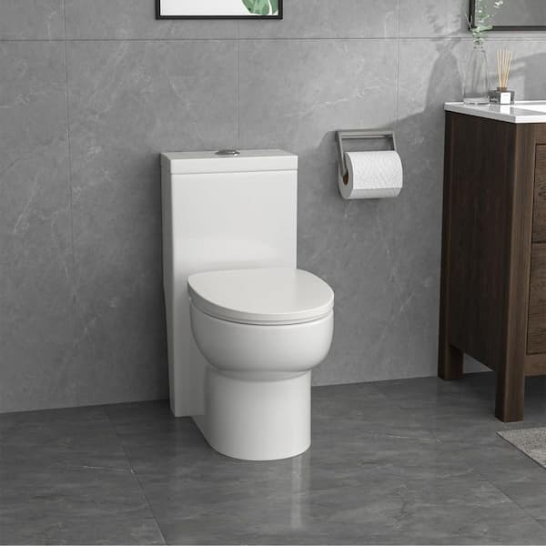 Ceramic Dual Flush 1.1/1.6 GPF Elongated 12 in. Rough-In 1-Piece Toilet in Glossy White with Soft Closing Seat