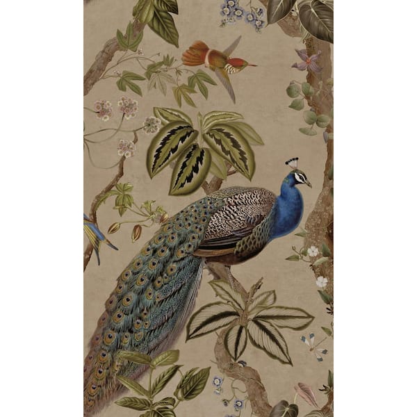 Walls Republic Taupe Climbing Peacock & Climbing Florals Printed Non-Woven Non-Pasted Textured Wallpaper 57 Sq. Ft.