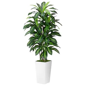 5 ft. Artificial Dracaena Plant with White Tall Planter Vase, Artificial Trees for Home, Office and Living Room