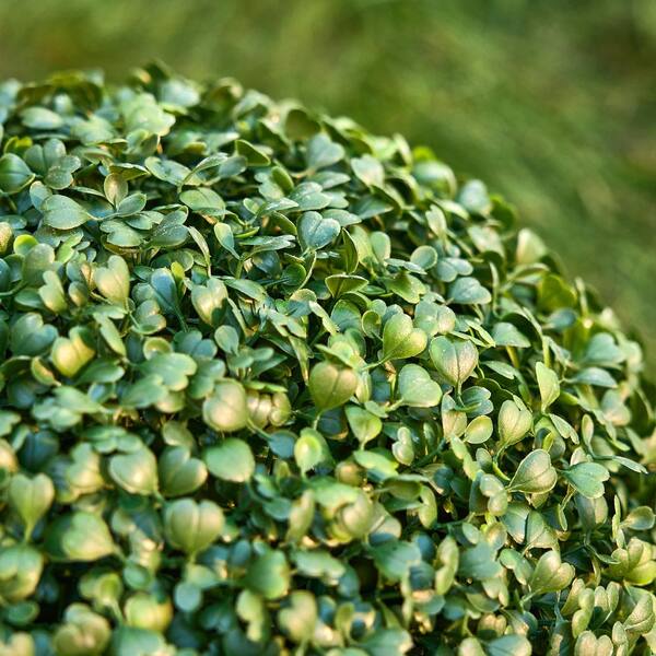 DR.Planzen 18in Artificial Topiary Balls UV-Resistant Greenery