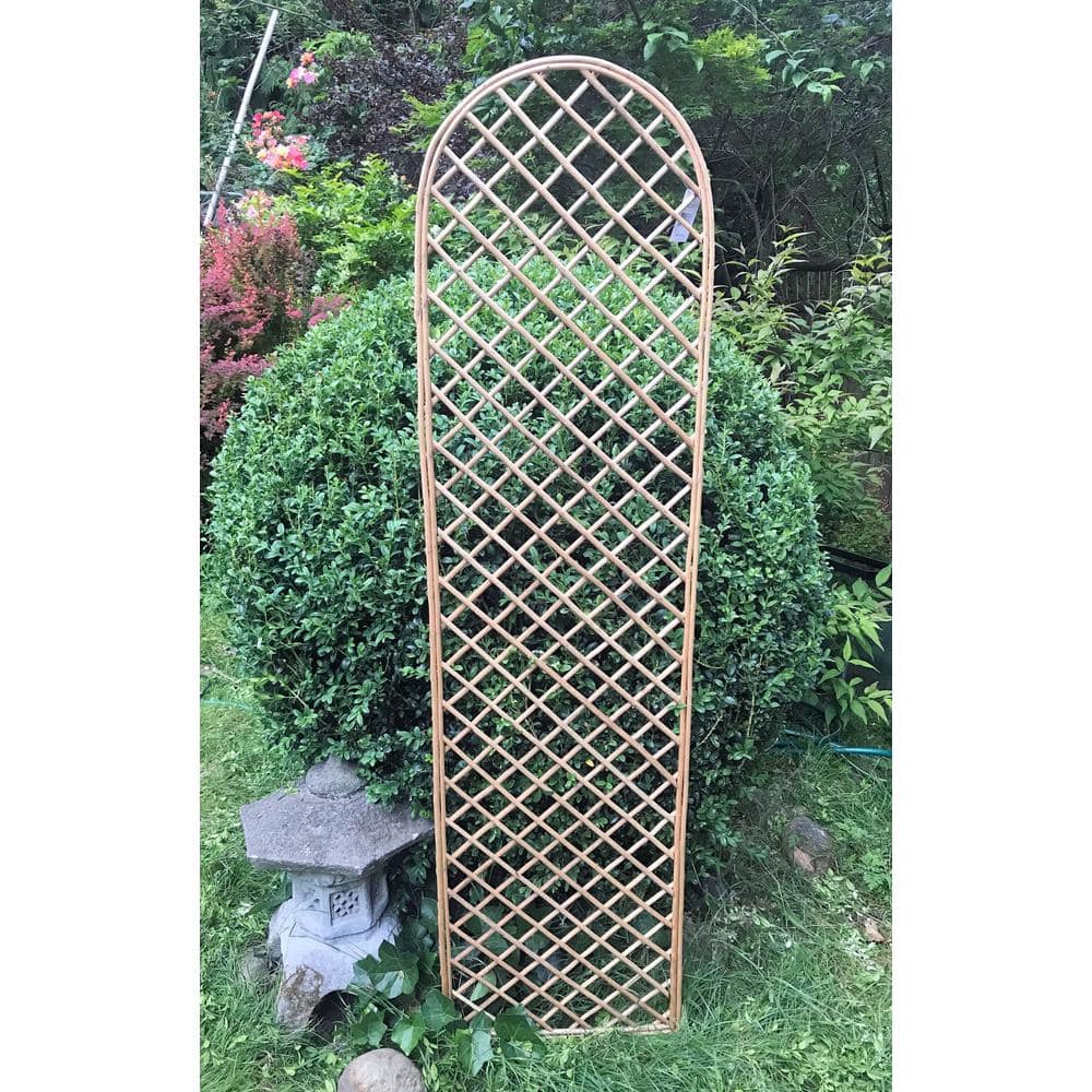 67" Light Brown Willow Wood Arched Trellis