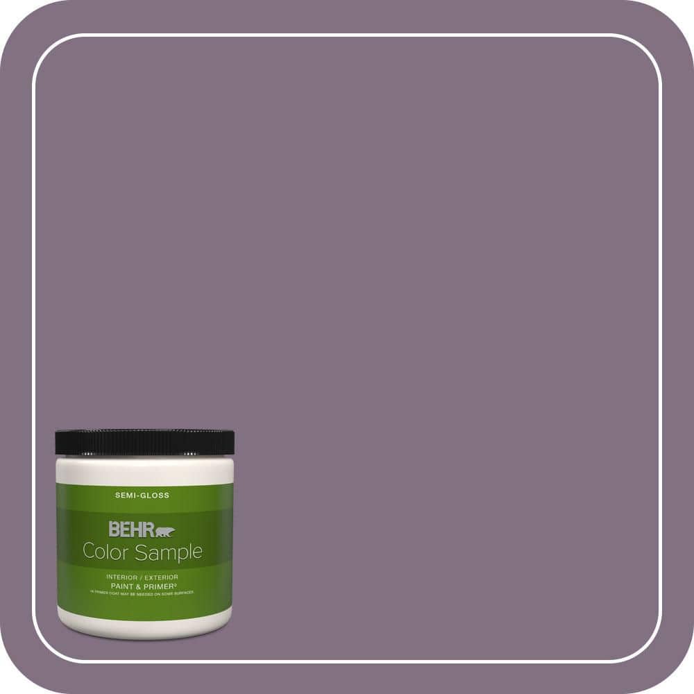 8 oz. #HDC-SP14-9 Decorative Iris Semi-Gloss Interior/Exterior Paint & Primer Color Sample product image for price tracking