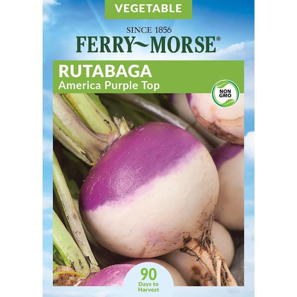 Rutabaga American Purple Top Vegetable Seeds