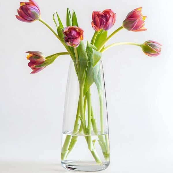 8.7 in. Modern Glass Vase Crystal Clear Glass Vase for Home Office Decor, Bottle Shape SMDWMVW1CC