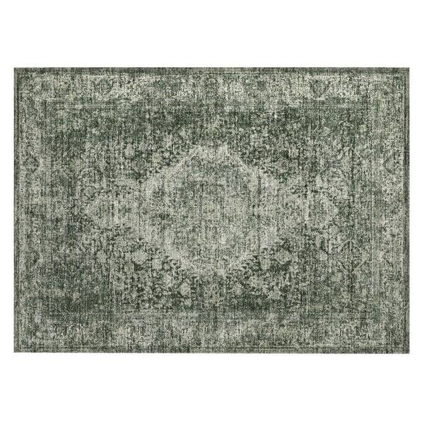 Chantille Machine Washable Indoor/Outdoor Abstract ACN3171 Green 3 ft. x 4 ft. Area Rug