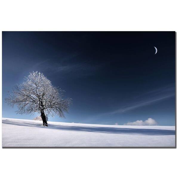 Trademark Fine Art 16 in. x 24 in. Blue as Snow Canvas Art-DISCONTINUED