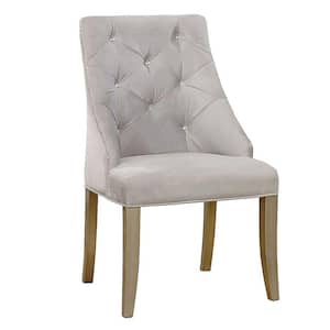 Diocles Silver Contemporary Style Side Chair