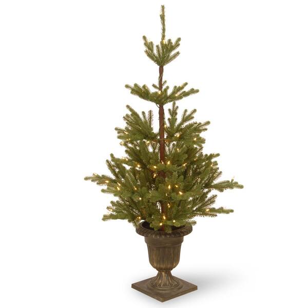 National Tree Company 4.5 ft. Imperial Spruce Entrance Artificial Christmas Tree with Clear Lights