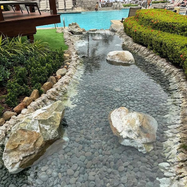 Rain Forest Margo Garden to Mexican Beach