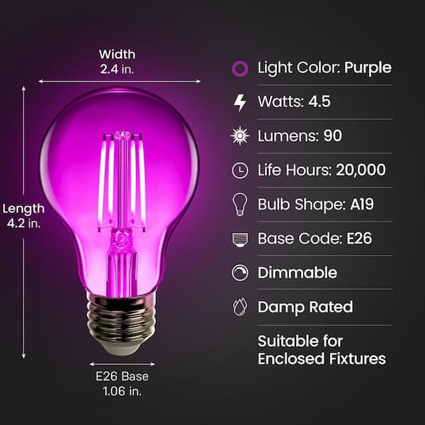 25-Watt Equivalent A19 Dimmable Filament Purple Colored Glass E26 Medium Base LED Light Bulb (12-Pack)