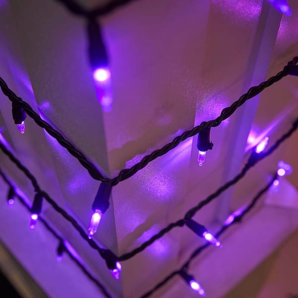 100 Purple Mini LED Lights