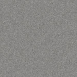 Coastal Charm II - Color River Slate- Blue 56 oz.. Nylon Texture Installed Carpet