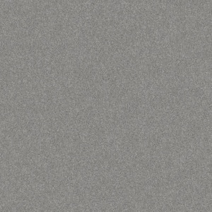 Coastal Charm I Color River Slate Gray 42 oz. Nylon Texture Installed Carpet