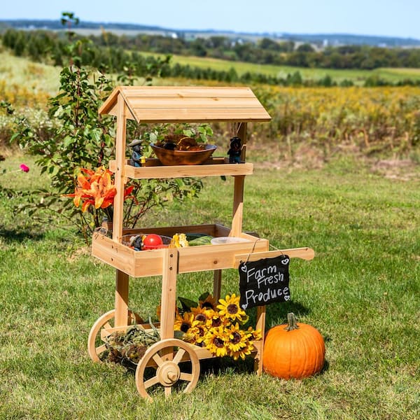Sunnydaze Country Market 21.75 in. L x 33.75 in. W x 49.25 in. H