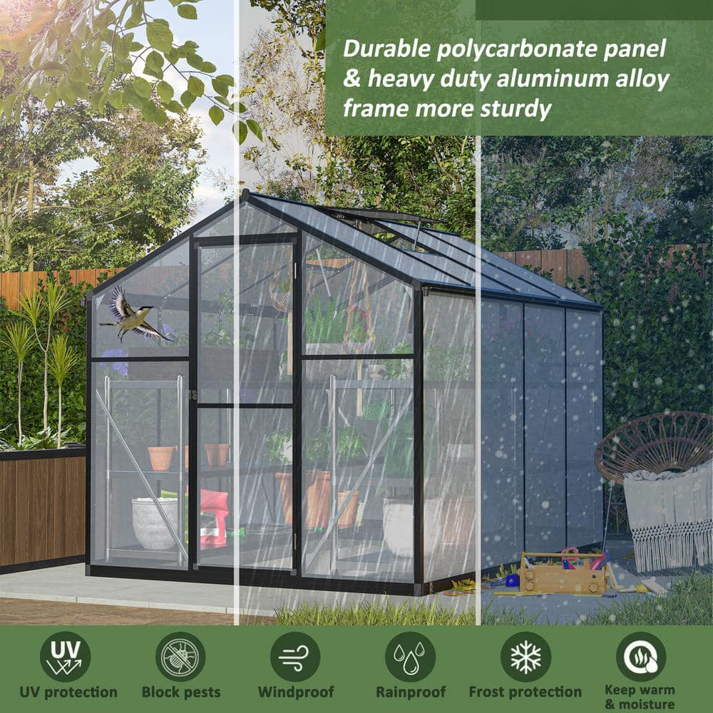 Black 6' x 8' Polycarbonate Aluminum Outdoor Greenhouse