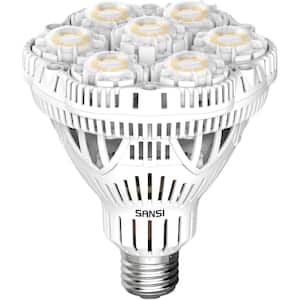 300-Watt Equivalent BR30 1-Light Non-Dimmable 5500 Lumens LED Light Bulb Daylight in 5000K