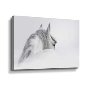 White horse' by PhotoINC Studio Canvas Wall Art