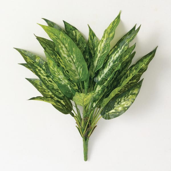 SULLIVANS Artificial 20 in. Aglaonema Bush, Green
