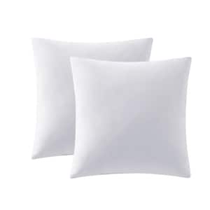 Feather 18 x 18 in. Throw Pillow Insert Set of 2