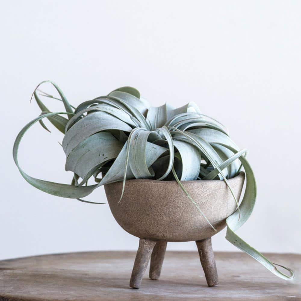 Large Matte Taupe Terracotta Footed Planter