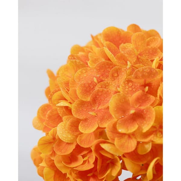 3Pcs 20in Orange Hydrangea Artificial Flowers Latex Real Touch