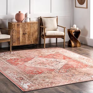 Rust 4 ft. x 6 ft. Dianna Cotton-Blend Distressed Medallion Area Rug