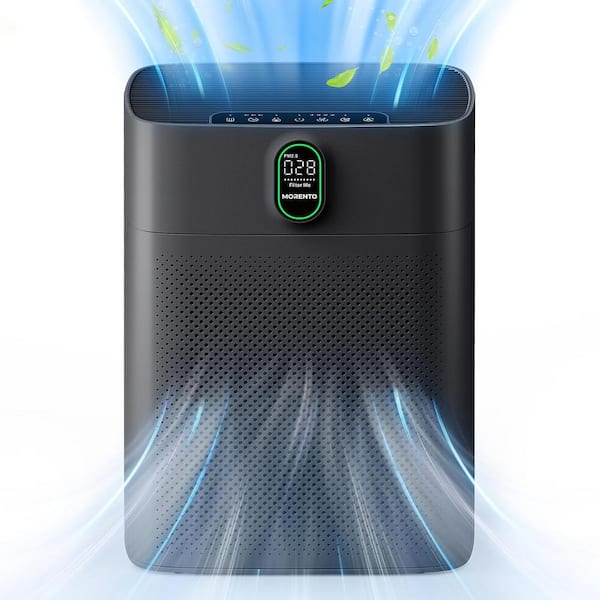 1076 Sq. Ft. Air Purifiers for Home with PM 2.5 Display Air Quality Sensor for Pet Hair, Double-sided Air Inlet in Black
