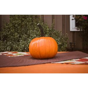 Large Carving Pumpkin
