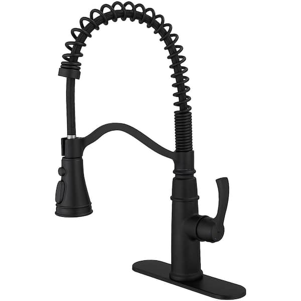 FLG Single Handle Pull Down Sprayer Kitchen Faucet with Advanced Spray Brass Kitchen Sink Tap with Deck Plate in Matte Black