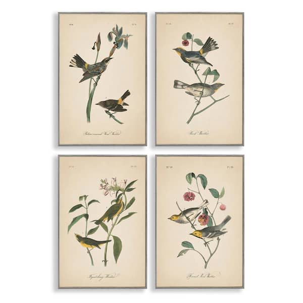 Stupell Industries Vintage Study Birds & Plants by Wild Apple Portfolio 4-Pieces Gray Framed Animal Giclee Art Print 24 in. x 16 in.