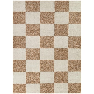 Reinhart Brown 5 ft. x 7 ft. Checkered Area Rug