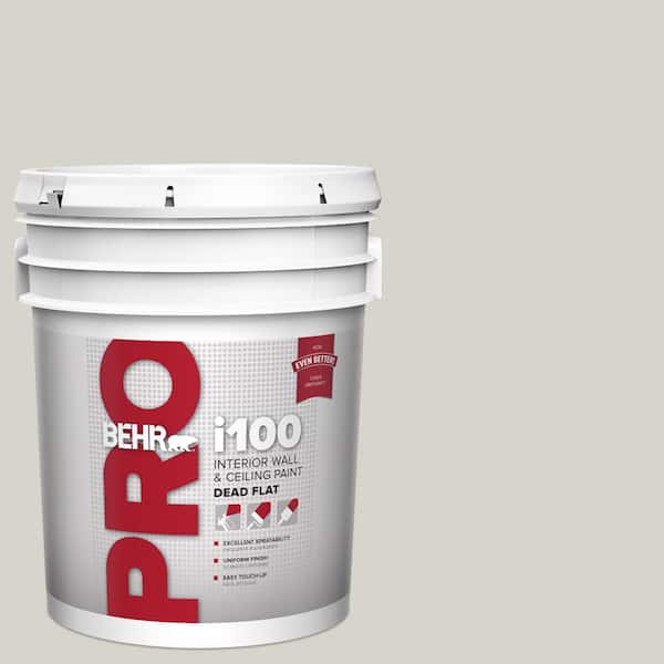 5 gal. #PPU25-10 Soft Secret Dead Flat Interior Paint