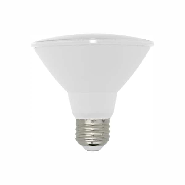 home depot par 30 led