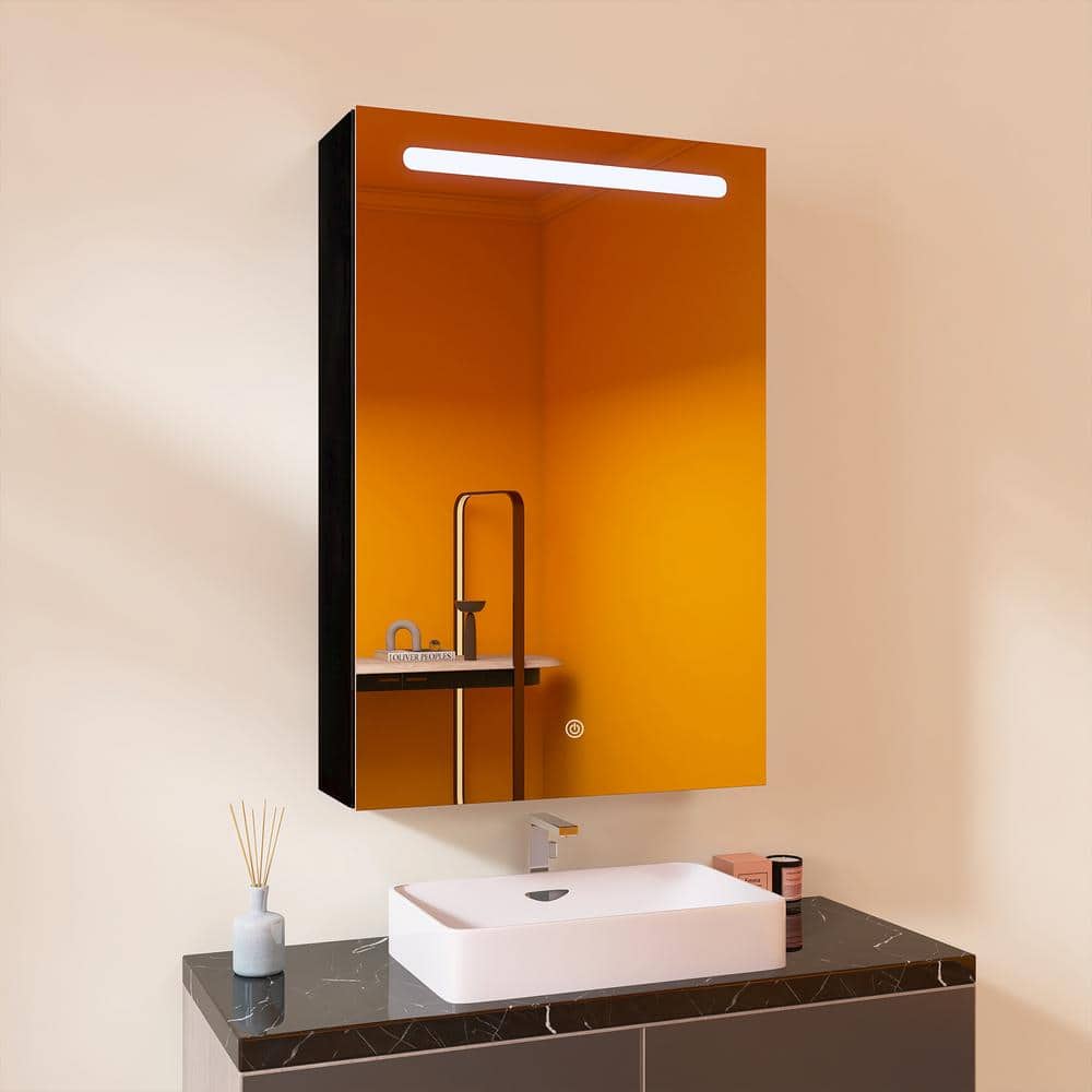20 in. W x 30 in. H Black Surface Mount Lighted Medicine Cabinet with Mirro
