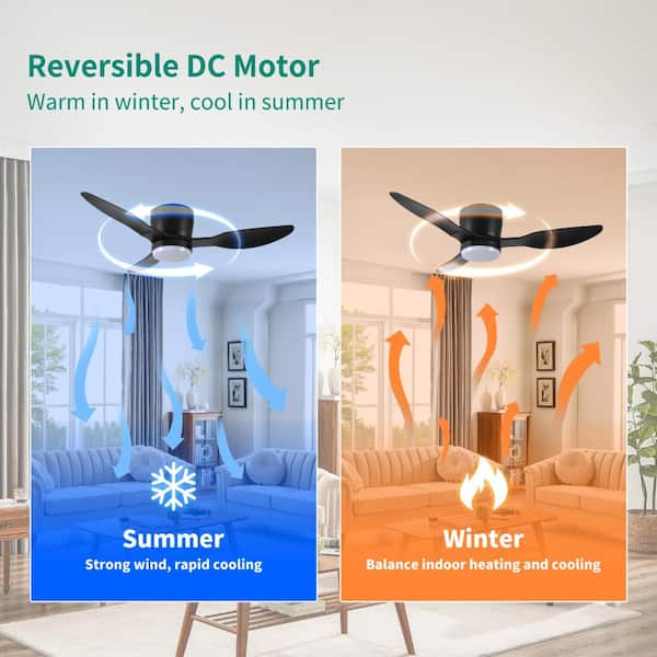 Overhead Fans Duclsaty 42 in. Smart ABS Ceiling Fan with Light, App and Remote ...