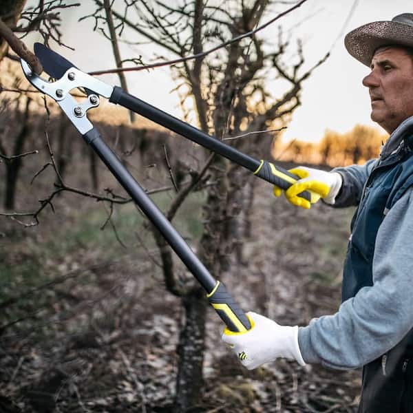 30 in. Garden Shears Set Heavy Duty Anvil Loppers, 2 in. Cutting Capacity, Bypass Pruning Shear