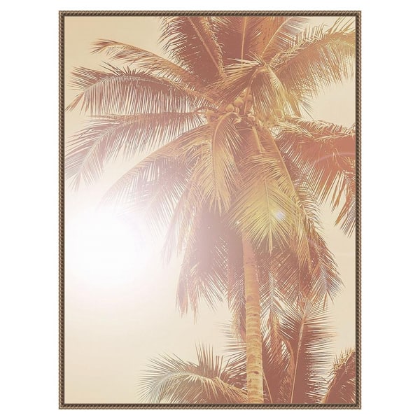 Amanti Art "Sunkissed Palm Tree" by Urban Road 1-Piece Floater Frame Giclee Nature Canvas Art Print 42 in. x 32 in.