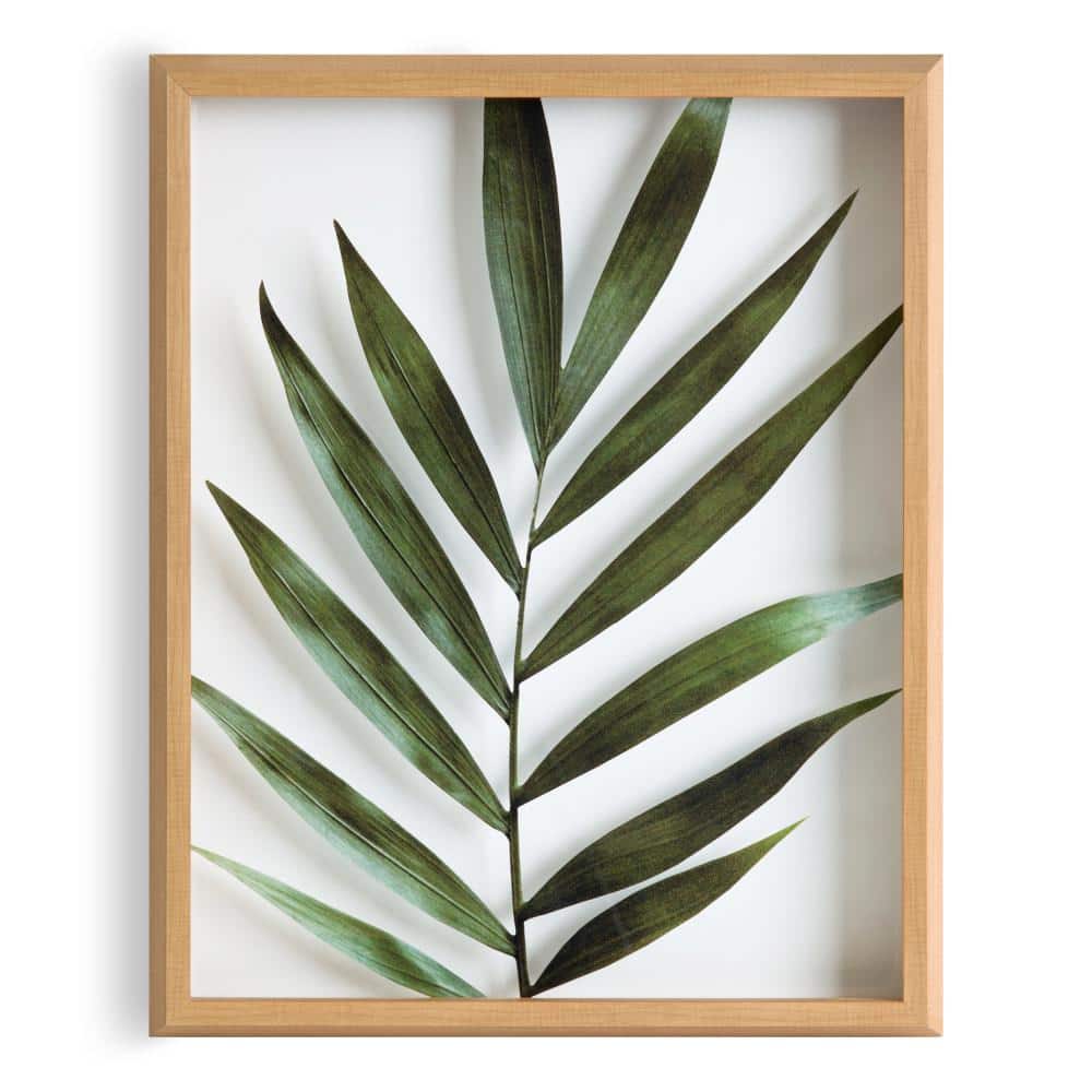 Natural Wood Framed Botanical Glass Art Print, 16" x 20"