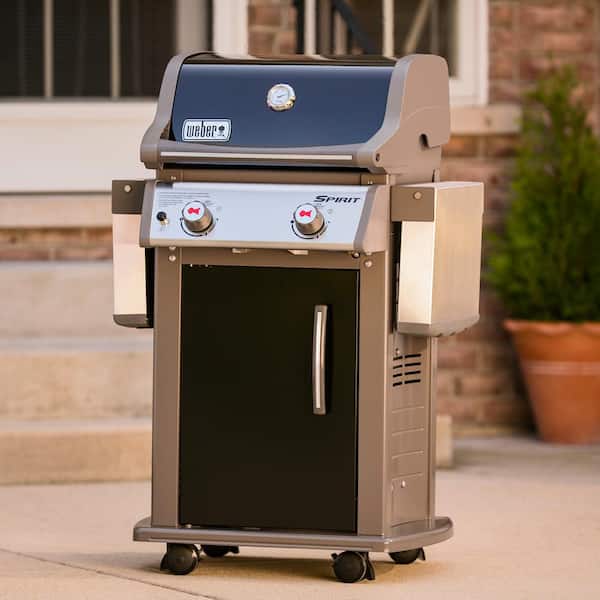 Weber Spirit E-210 2-Burner Propane Gas Grill in Black with Built-In  Thermometer 46110001 - The Home Depot