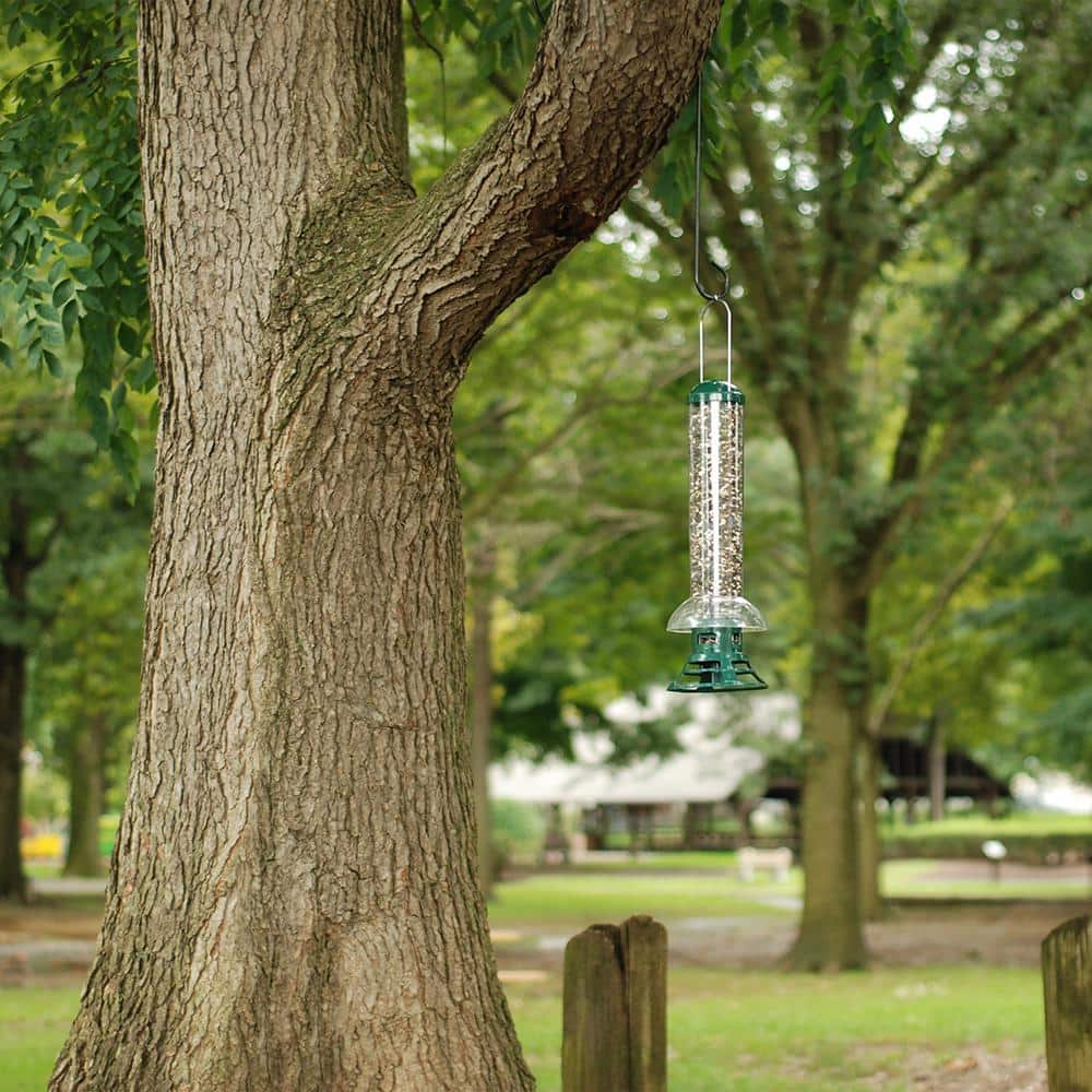 Green and Clear Squirrel Resistant Hanging Tube Bird Feeder