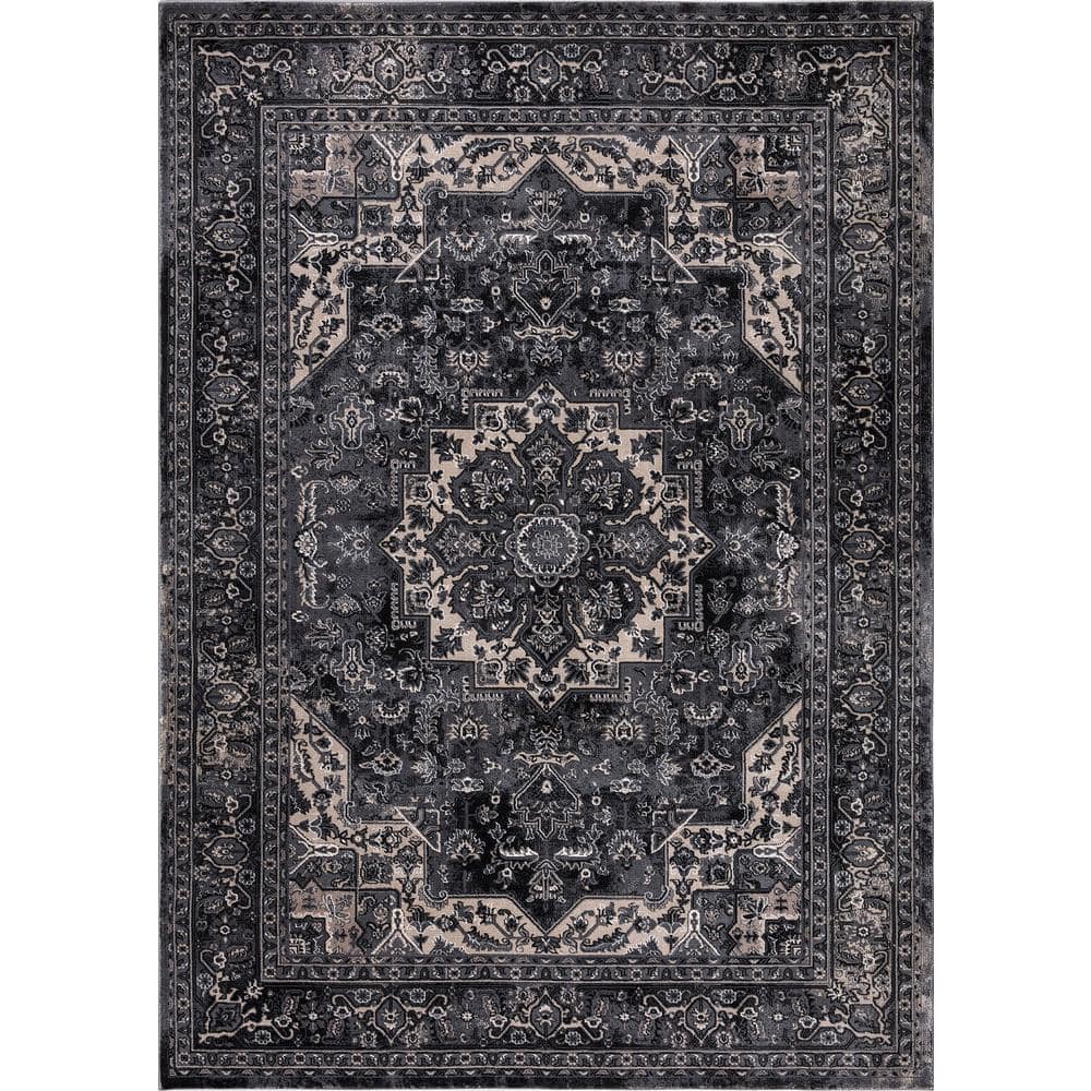 Angora Anthracite Doormat 3 ft. x 5 ft. Medallion Area Rug price history on PriceWatchPro